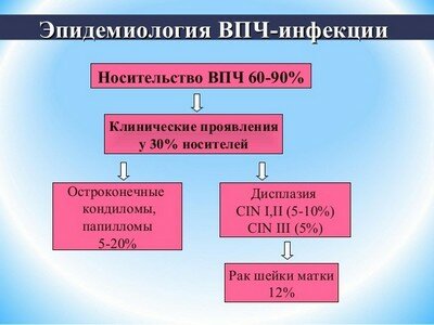 bistrey analiz kak virus cheloveka papillomi krovi sdat moemu Вирус папилломы человека как сдать анализ крови фото