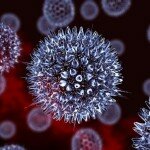 Как обычно передается среди людей вирус папилломы человека